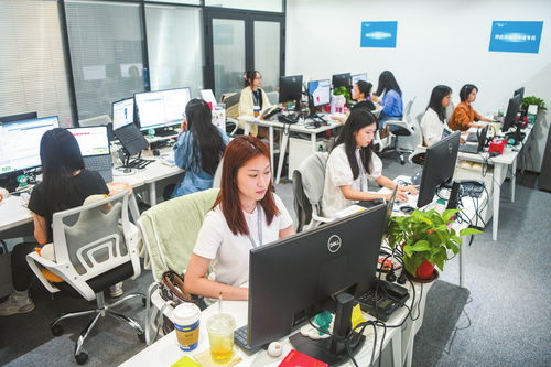 海口加速數據跨境業務發展，打造數字高地與軟件開發新引擎