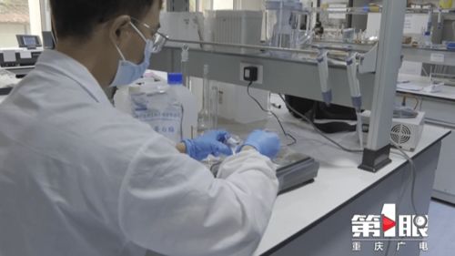 鄭州軟件開發實驗室創新研發 巴適精品綠色毛肚，引領健康美食新潮流